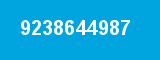 9238644987