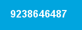 9238646487