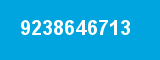 9238646713