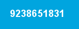 9238651831 9238651831
