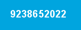 9238652022