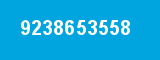 9238653558