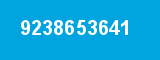 9238653641