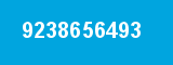 9238656493