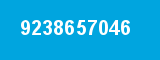 9238657046