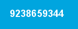 9238659344