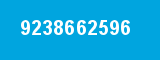 9238662596
