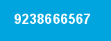 9238666567