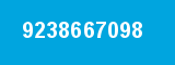 9238667098