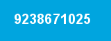 9238671025