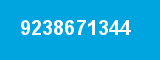 9238671344