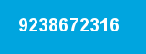 9238672316