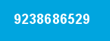 9238686529
