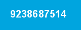 9238687514