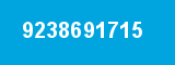9238691715