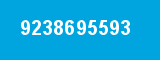9238695593