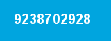 9238702928
