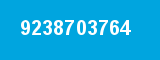 9238703764