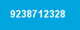 9238712328 9238712328