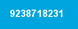 9238718231
