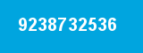 9238732536