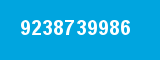 9238739986