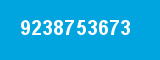9238753673