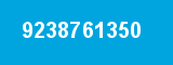 9238761350