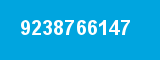 9238766147