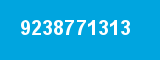 9238771313