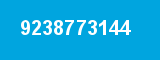 9238773144