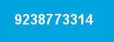 9238773314