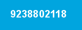 9238802118