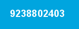 9238802403