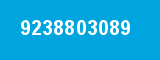 9238803089