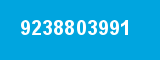 9238803991