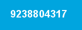 9238804317