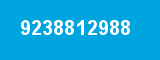 9238812988