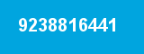 9238816441
