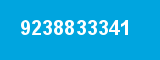9238833341