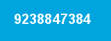 9238847384