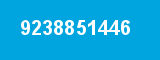 9238851446
