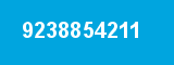 9238854211