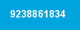 9238861834