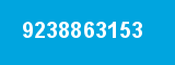 9238863153