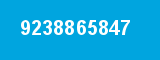9238865847