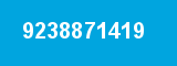 9238871419
