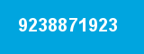 9238871923