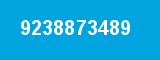 9238873489