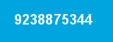 9238875344